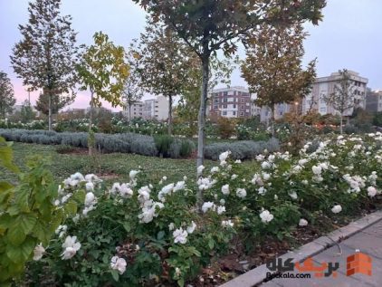 خرید آجر نسوز در مهرشهر | بهترین انتخاب برای نمای ساختمان در اقلیم معتدل کوهپایه‌ای