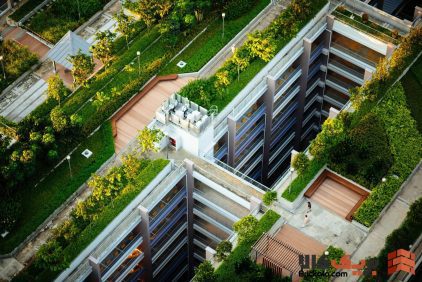 نمای ساختمان با روف گاردن: ترکیب زیبایی، طبیعت و معماری مدرن