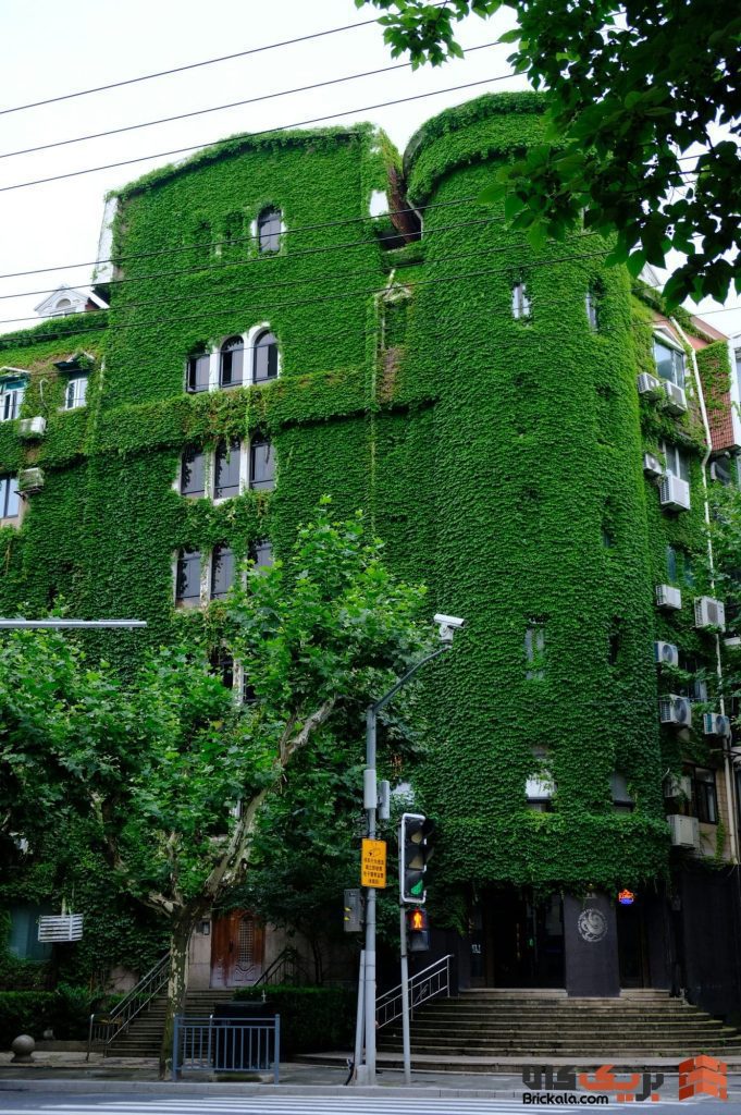 نمای ساختمان با پوشش گیاهی؛ راهنمای جامع طراحی، مزایا و اجرا