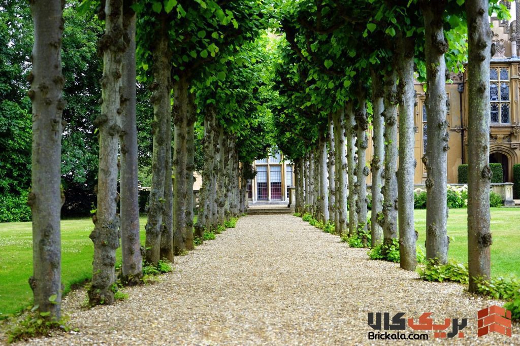 آب‌نما و المان‌های آبی