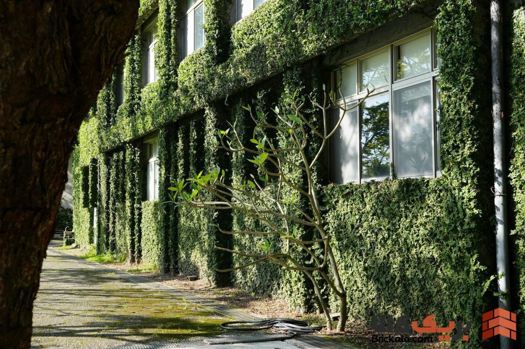 نقش معماران و مهندسان در توسعه نمای ساختمان پایدار