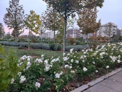 خرید آجر نسوز در مهرشهر | بهترین انتخاب برای نمای ساختمان در اقلیم معتدل کوهپایه‌ای