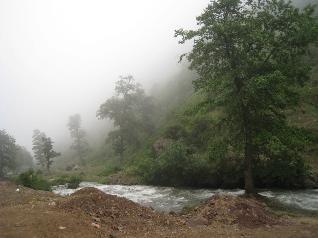 خرید آجر نسوز در کلاردشت | نمایی ماندگار برای معماری خاص شمال کشور