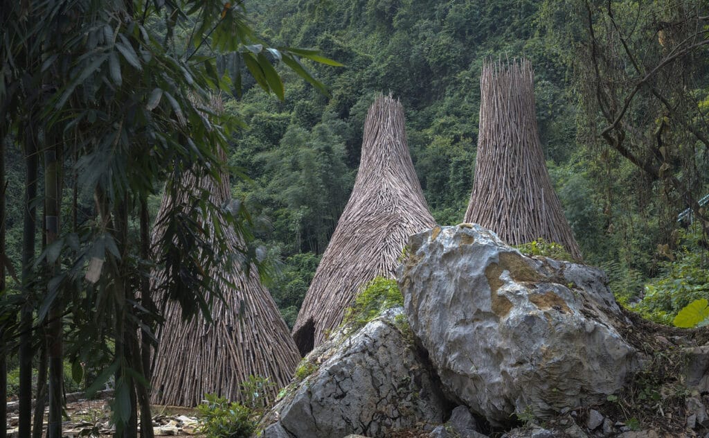 مرکز بازدیدکنندگان پارک جنگلی نونگ‌گانگ