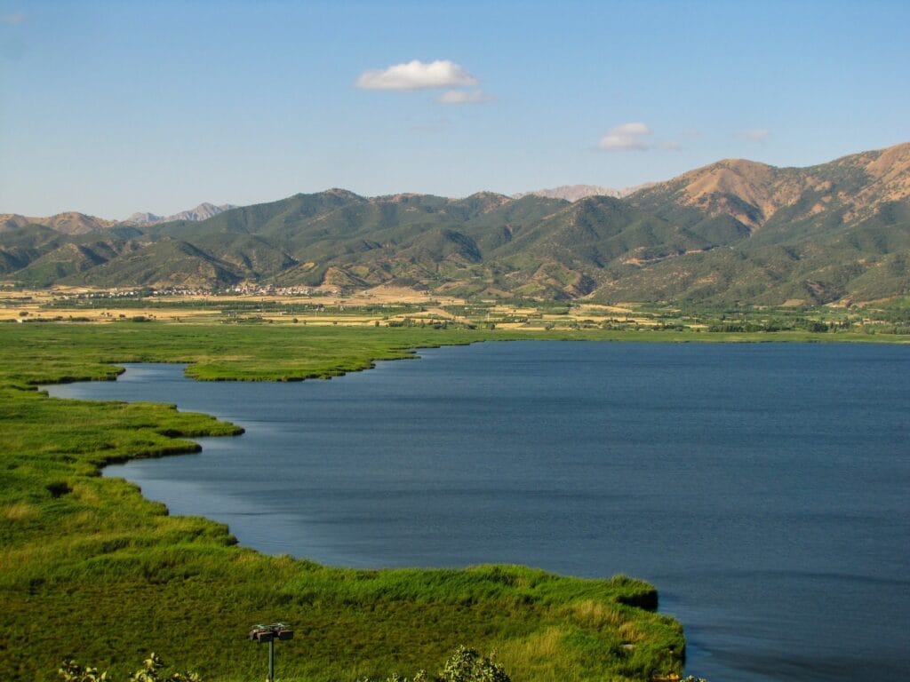 خرید آجر نسوز در مریوان | انتخابی هوشمندانه برای نمای ساختمان در اقلیم کوهستانی غرب