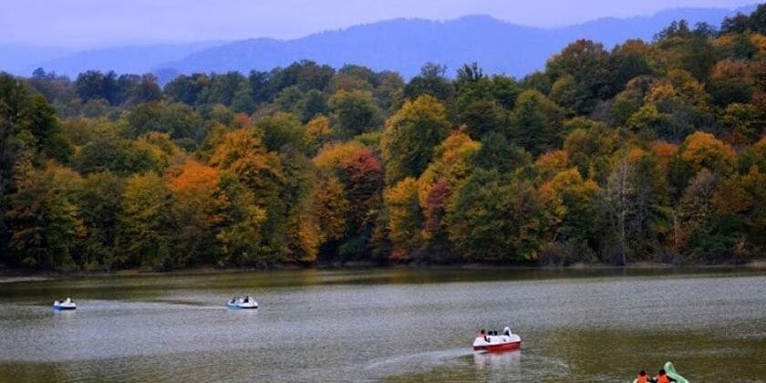 خرید آجر نسوز در چمستان | بهترین انتخاب برای نمای ساختمان در اقلیم مرطوب شمال