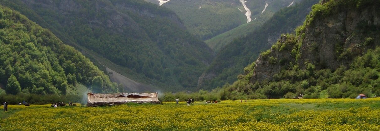خرید آجر نما در تنکابن | انتخاب هوشمندانه برای اقلیم خاص شمال