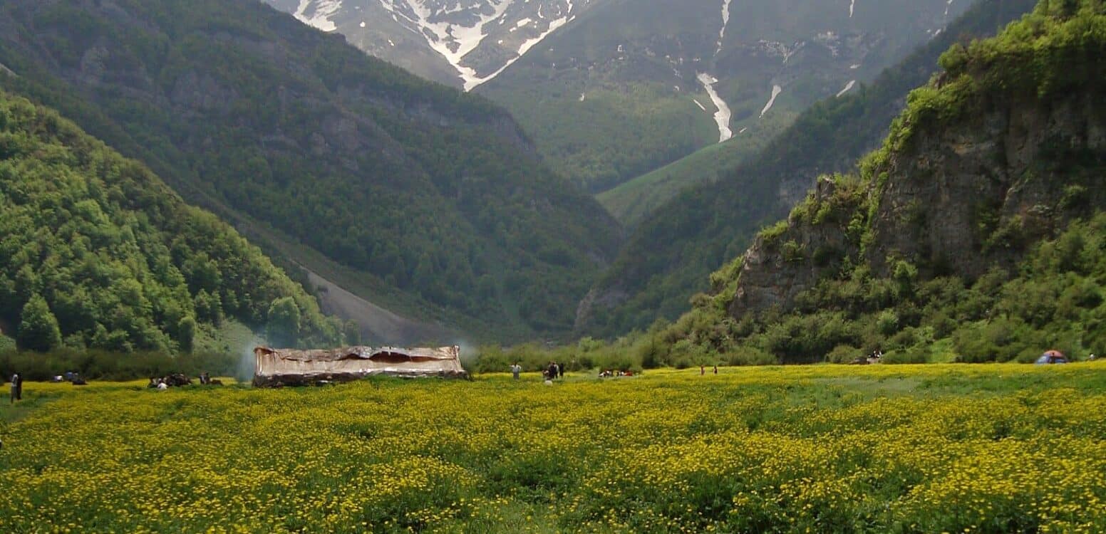 خرید آجر نما در تنکابن | انتخاب هوشمندانه برای اقلیم خاص شمال
