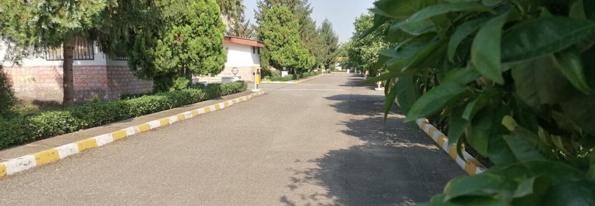 خرید آجر نما در چلک؛ انتخابی هوشمند برای معماری ساحلی و کوهپایه‌ای