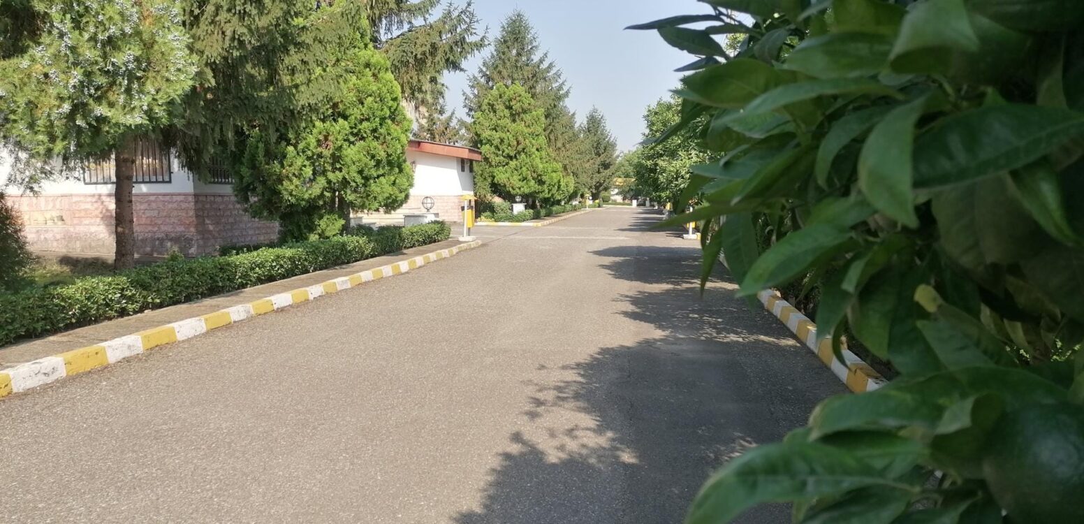 خرید آجر نما در چلک؛ انتخابی هوشمند برای معماری ساحلی و کوهپایه‌ای