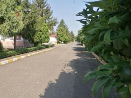خرید آجر نما در چلک؛ انتخابی هوشمند برای معماری ساحلی و کوهپایهای - 1643758 6783727 خرید آجر نما در چلک؛ انتخابی هوشمند برای معماری ساحلی و کوهپایهای