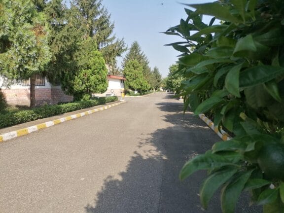 خرید آجر نما در چلک؛ انتخابی هوشمند برای معماری ساحلی و کوهپایهای - 1643758 6783727 خرید آجر نما در چلک؛ انتخابی هوشمند برای معماری ساحلی و کوهپایهای