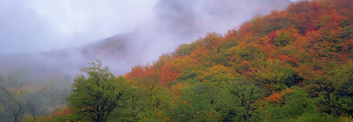 خرید آجر نما در نور؛ انتخابی هوشمند برای معماری ماندگار