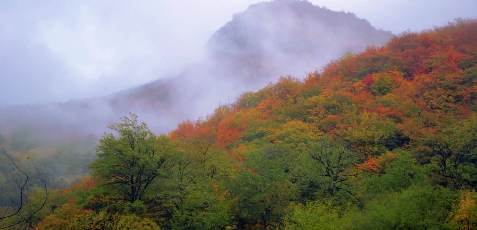 خرید آجر نما در نور؛ انتخابی هوشمند برای معماری ماندگار
