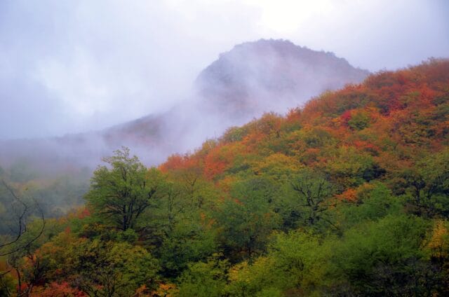 خرید آجر نما در نور؛ انتخابی هوشمند برای معماری ماندگار - 3261px Mazandaran Royan Galandroud panoramio خرید آجر نما در نور؛ انتخابی هوشمند برای معماری ماندگار