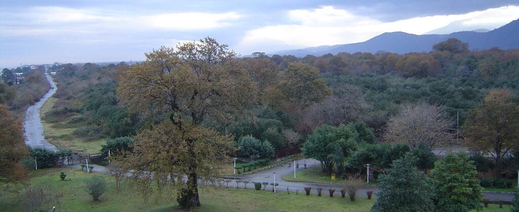 خرید آجر نما در چالوس؛ انتخابی ماندگار برای معماری ساحلی شمال