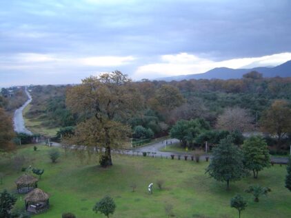 خرید آجر نما در چالوس؛ انتخابی ماندگار برای معماری ساحلی شمال