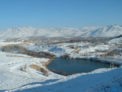 خرید آجر نما در مهاباد؛ انتخابی هوشمند برای معماری محلی