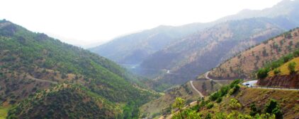 خرید آجر نما در مریوان؛ انتخابی هوشمند برای معماری اصیل و مدرن