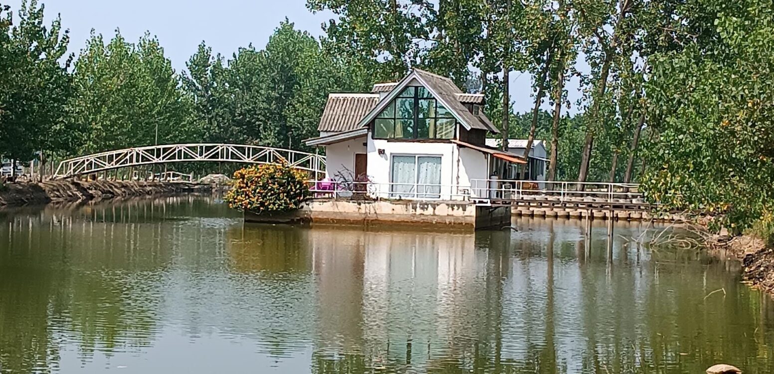 خرید پودر بندکشی در چمستان | راهنمای کامل انتخاب و قیمت