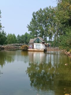 خرید پودر بندکشی در چمستان | راهنمای کامل انتخاب و قیمت
