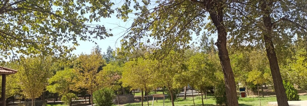 خرید پودر بندکشی در جلفا | راهنمای تخصصی انتخاب و قیمت