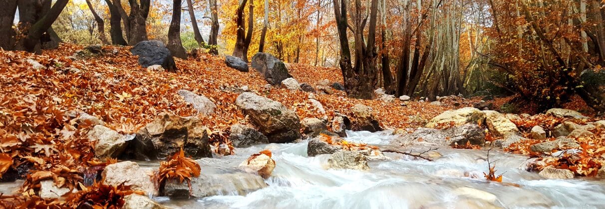 خرید آجر نما در یاسوج؛ انتخابی هوشمند برای اقلیم کوهستانی - 3840px ایران یاسوج تنگ گنجه ای خرید آجر نما در یاسوج؛ انتخابی هوشمند برای اقلیم کوهستانی