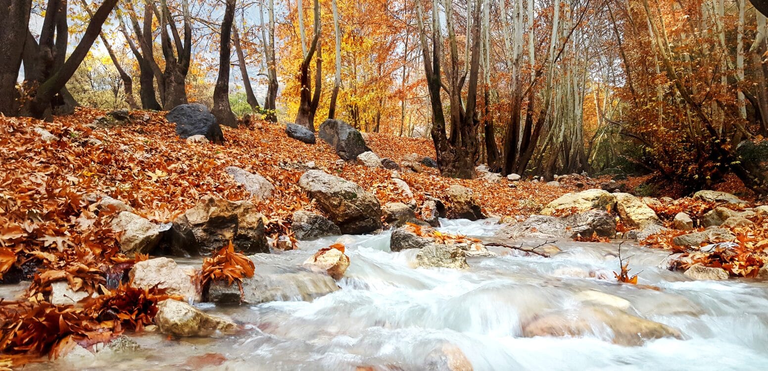 خرید آجر نما در یاسوج؛ انتخابی هوشمند برای اقلیم کوهستانی