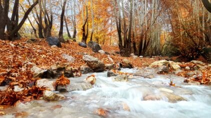 خرید آجر نما در یاسوج؛ انتخابی هوشمند برای اقلیم کوهستانی