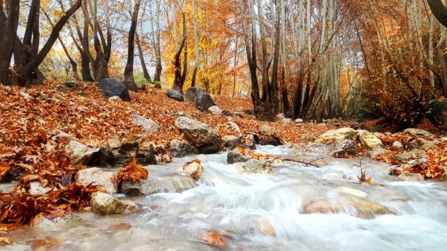 خرید آجر نما در یاسوج؛ انتخابی هوشمند برای اقلیم کوهستانی - 3840px ایران یاسوج تنگ گنجه ای خرید آجر نما در یاسوج؛ انتخابی هوشمند برای اقلیم کوهستانی