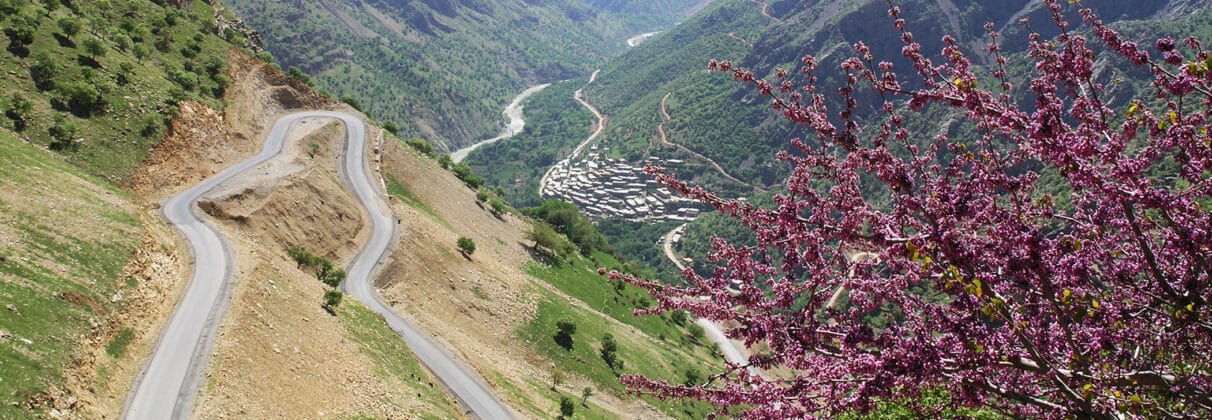 خرید پودر بندکشی در مریوان | راهنمای جامع انتخاب و قیمت