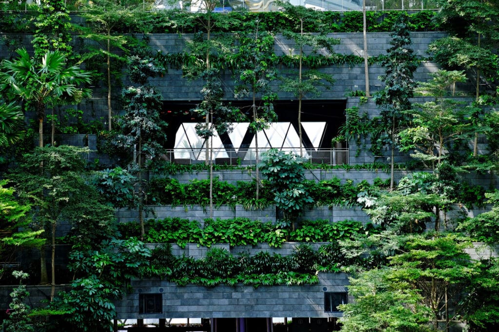 نمای ساختمان با پوشش گیاهی؛ راهنمای جامع طراحی، مزایا و اجرا - danist soh 0Ym20vg1Y5U unsplash عوامل مهم در طراحی نمای ساختمان با پوشش گیاهی
