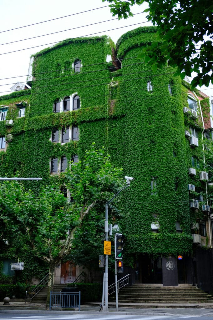 نمای ساختمان با پوشش گیاهی؛ راهنمای جامع طراحی، مزایا و اجرا - haoli chen za37mEYPfJo unsplash نمای ساختمان با پوشش گیاهی؛ راهنمای جامع طراحی، مزایا و اجرا