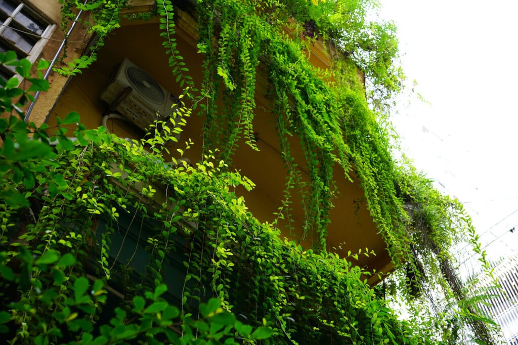 نمای ساختمان با پوشش گیاهی؛ راهنمای جامع طراحی، مزایا و اجرا - ivy dao TaBZ3x3YxOU unsplash مقایسه نمای ساختمان با پوشش گیاهی با سایر نماها
