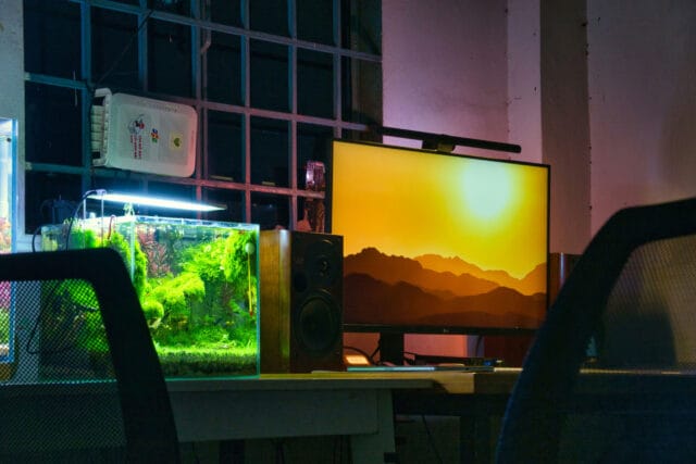 طراحی داخلی با آکواریوم؛ راهی برای آوردن آرامش به خانه - penfer bI8Us7hSs5U unsplash طراحی داخلی با آکواریوم؛ راهی برای آوردن آرامش به خانه