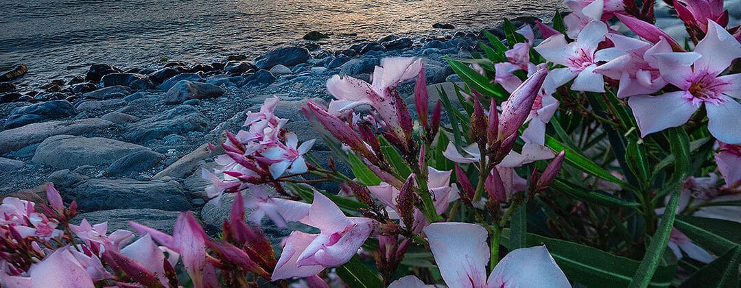 خرید پودر بندکشی در چابکسر | راهنمای جامع معماران و سازندگان