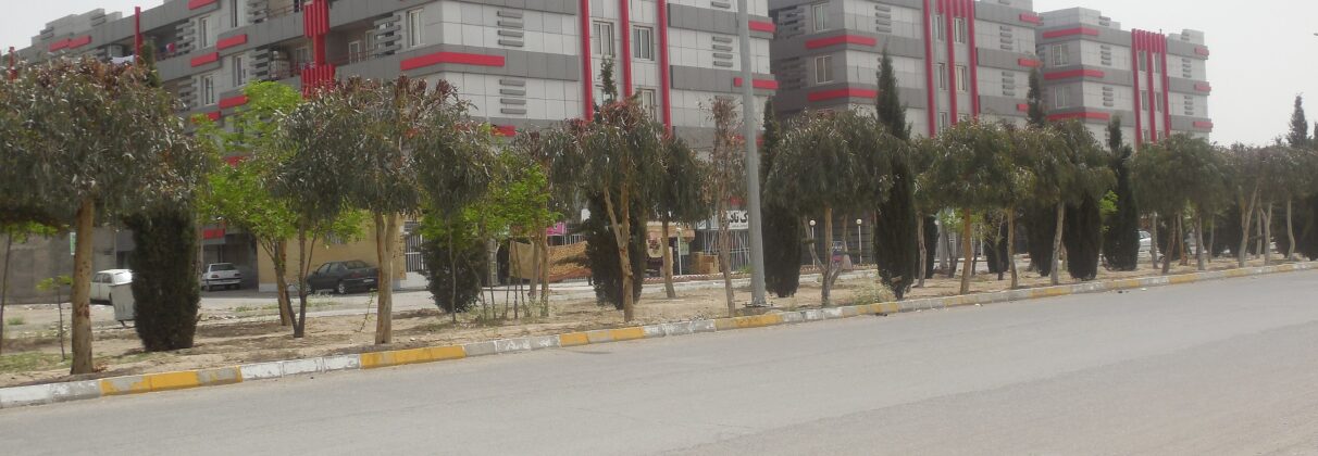 راهنمای کامل خرید آجر آذرخش در سیرجان + قیمت، اقلیم و نکات فنی