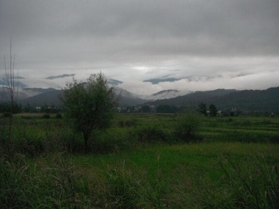 راهنمای خرید آجر آذرخش در چالوس + قیمت، نکات فنی و اقلیمی