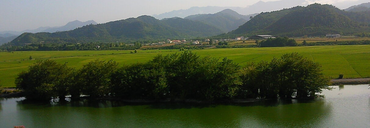 راهنمای خرید آجر آذرخش در آستارا + قیمت، کاربردها و نکات فنی - Photo0244 راهنمای خرید آجر آذرخش در آستارا + قیمت، کاربردها و نکات فنی