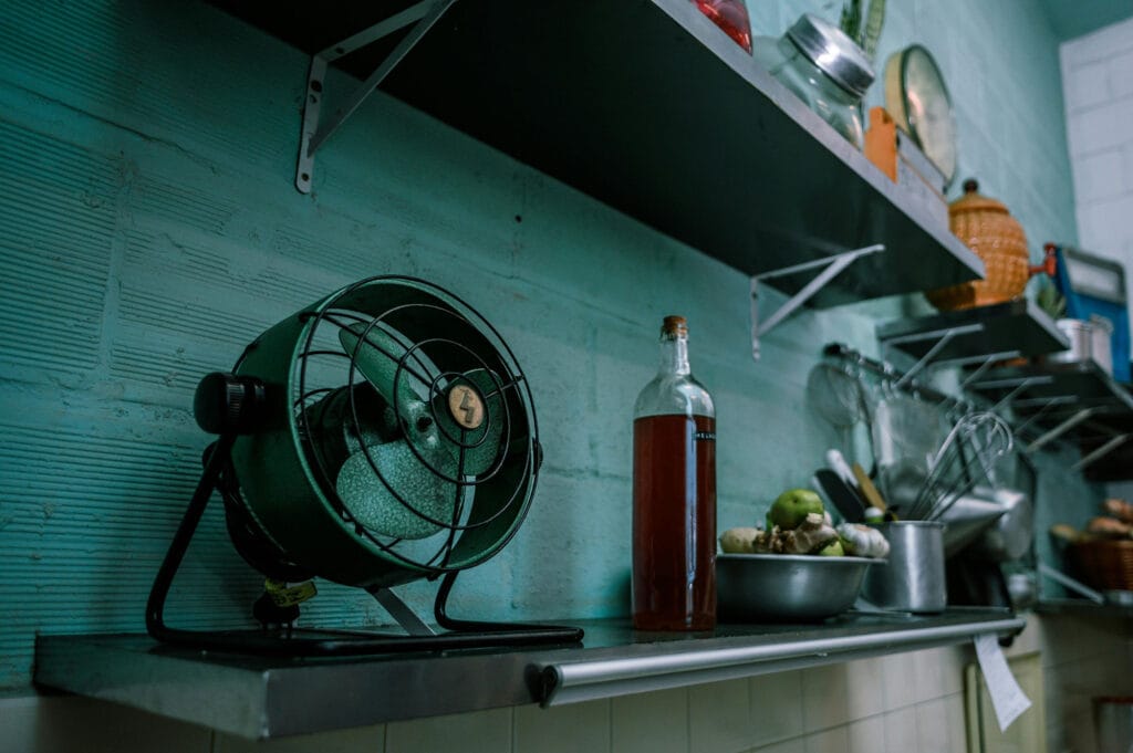 طراحی داخلی با دیوار سبز؛ ترکیب هنر، طبیعت و معماری مدرن - pexels caio 3257923 نقش تکنولوژی در دیوارهای سبز مدرن