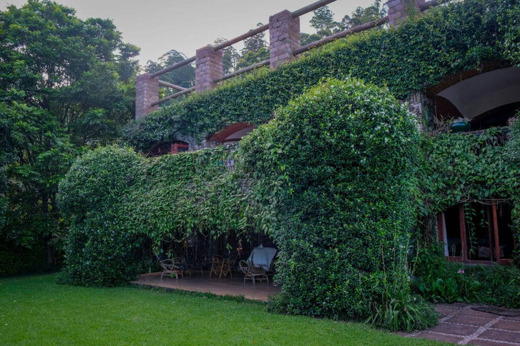 نمای ساختمان پایدار؛ راهی بهسوی معماری سبز و آیندهمحور - pexels magda ehlers pexels 6364089 طراحی نمای ساختمان پایدار در بافتهای شهری