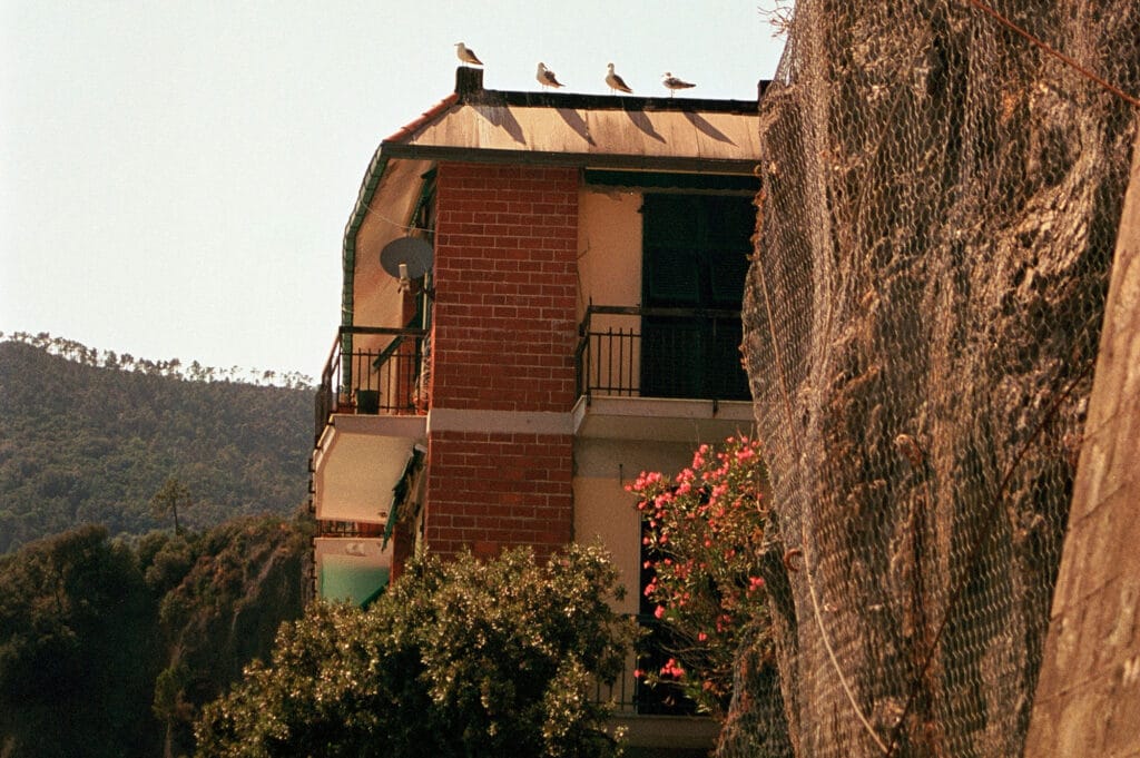 نقش طراحی پایدار در سبک معماری نما در مناطق کوهستانی