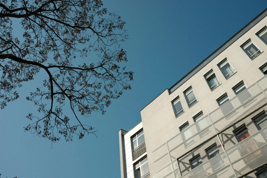 نمای سیمانی