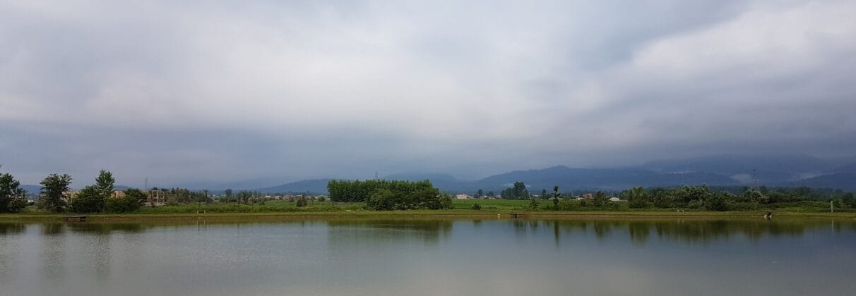 خرید آجر آذرخش در چمستان | انتخابی مقاوم و لوکس برای نمای ویلا در شمال