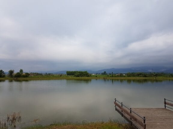 خرید آجر آذرخش در چمستان | انتخابی مقاوم و لوکس برای نمای ویلا در شمال