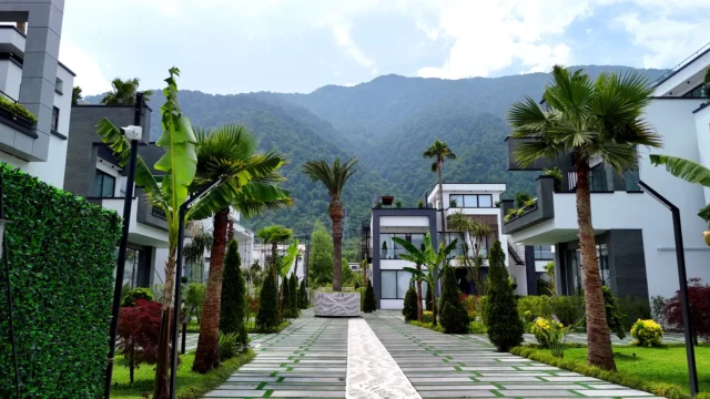 آجر آذرخش در چلک | نمایی ماندگار در دل جنگل‌های سرسبز مازندران