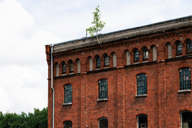 راهنمای کامل تراکم رنگ آجر: اهمیت، کاربرد و تاثیر بر کیفیت نهایی