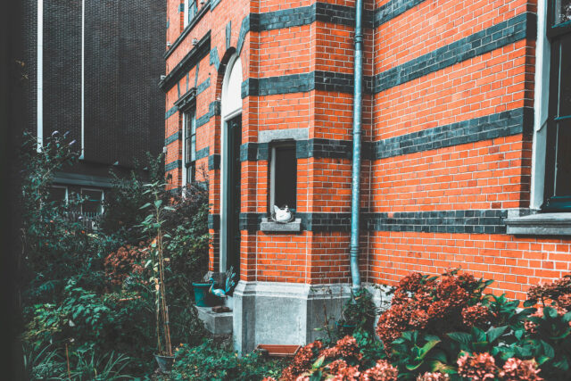 دانسیته آجر چیست و چرا اهمیت دارد؟ راهنمای کامل و علمی برای درک چگالی آجر