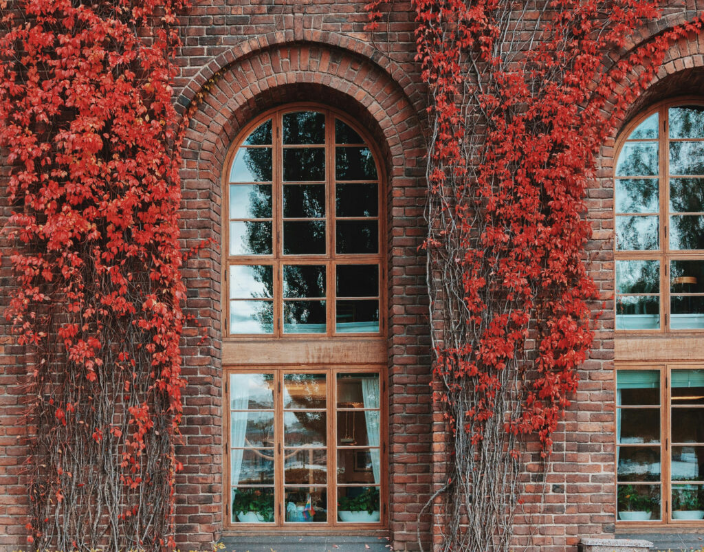 ضد شوره بودن آجر: راهنمای کامل انتخاب و استفاده از آجر در ساختمانسازی - linus mimietz uS0xWD1 0Bs unsplash نگهداری و مراقبت از آجر ضد شوره